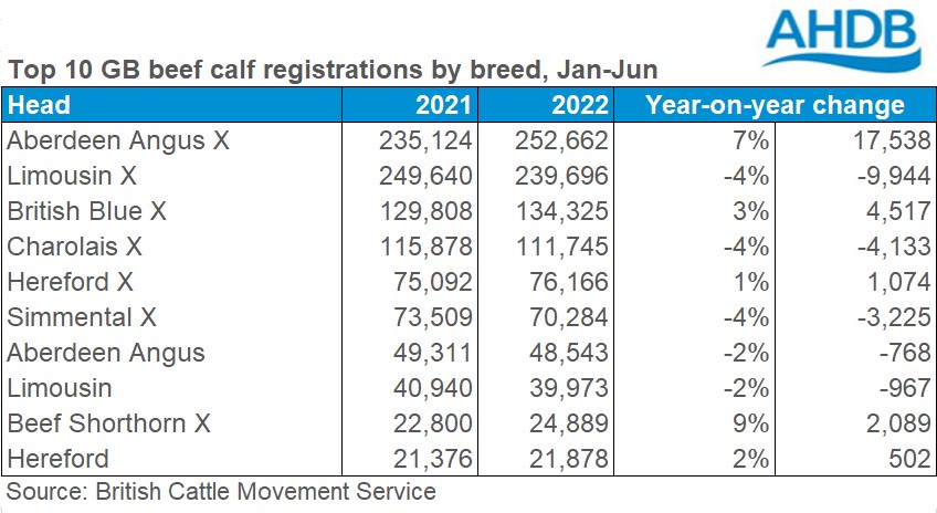 Table of top 10 GB beef calf registrations by breed Jan-Jun 2022